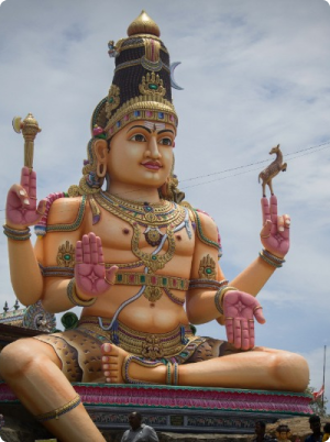 Mountain Trekking Adventure